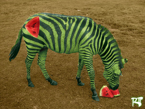 Who wants some cockentrice?