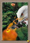 deadly_eagle.jpg (254367 bytes)