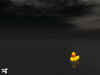 lonelyduck01.jpg (41153 bytes)